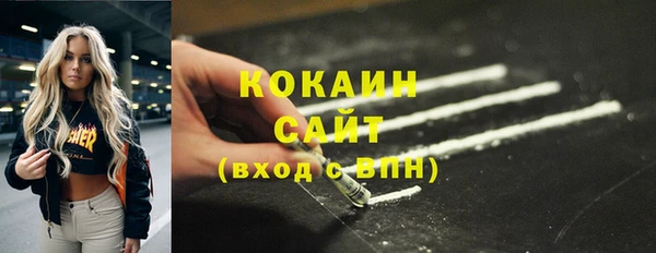стафф Алзамай