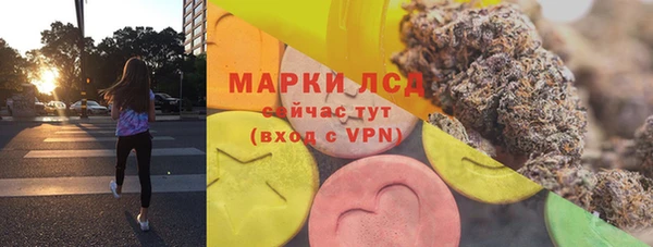 стафф Алзамай