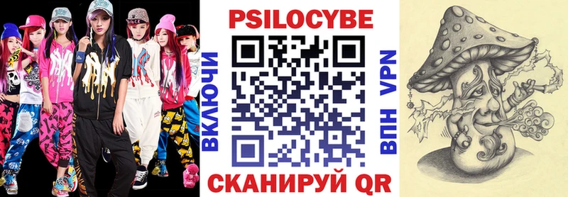 Галлюциногенные грибы Psilocybe  Печоры 