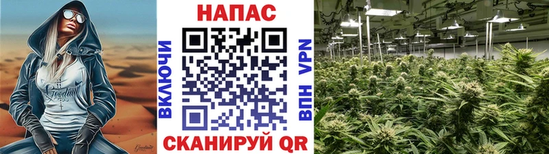 что такое наркотик  Печоры  Конопля сатива 